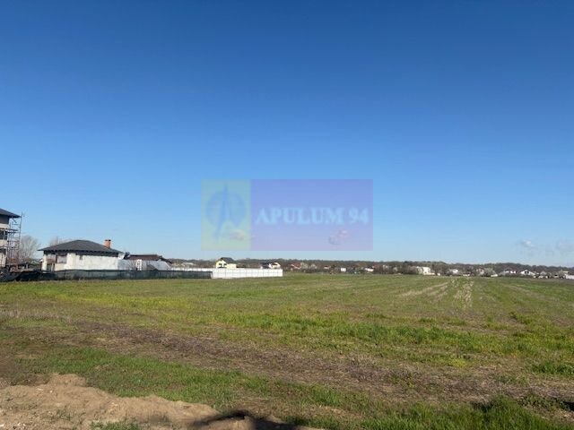 Teren Soseaua Clinceni- Ordoreanu stradal.